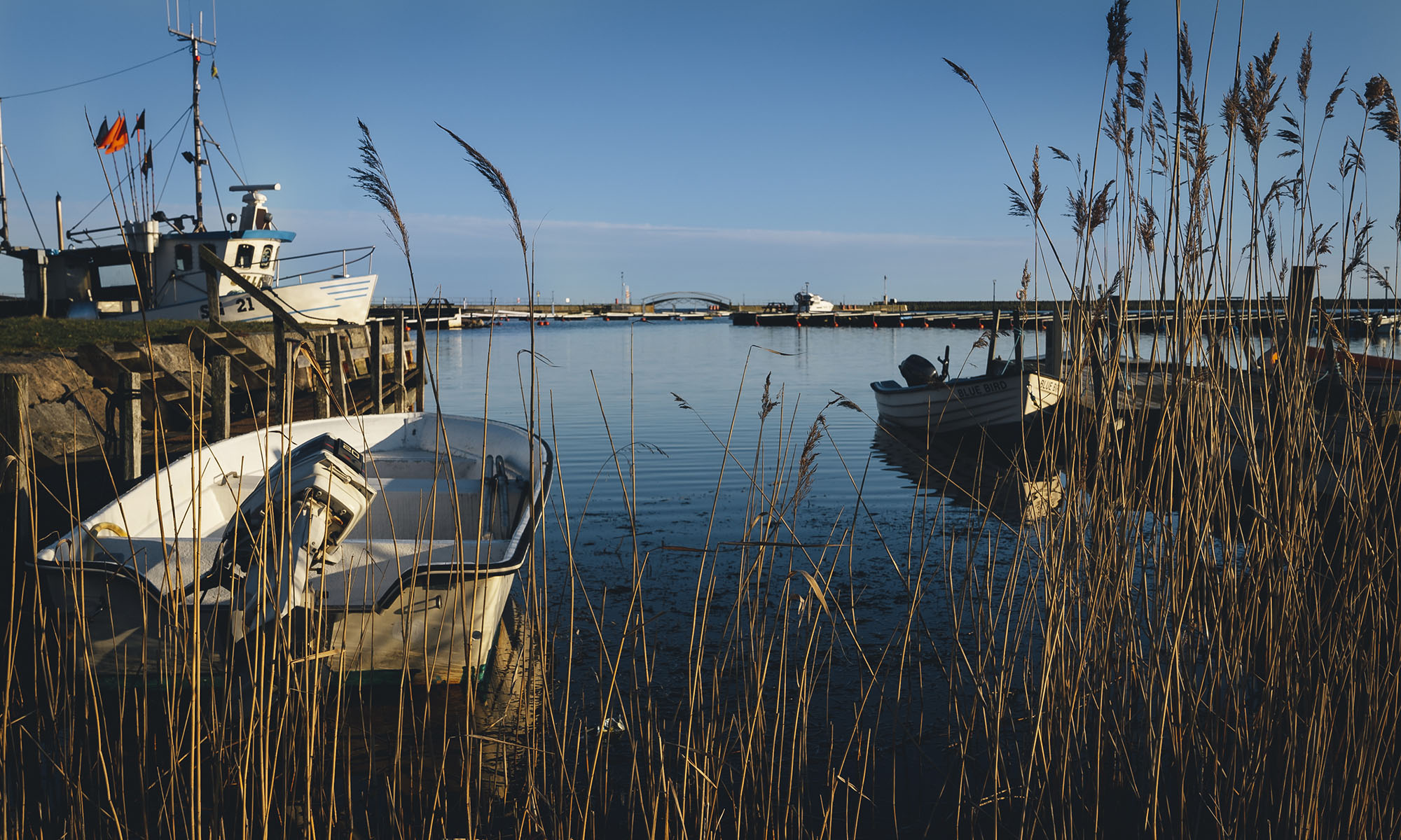 Småbåtar i Hälleviks hamn