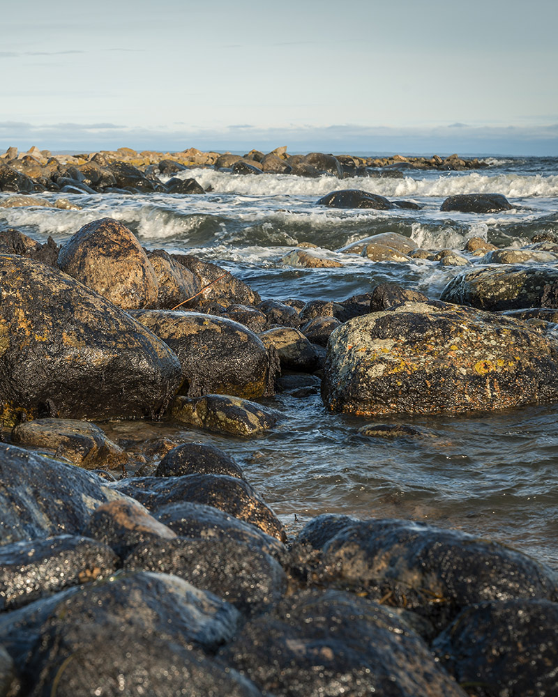 Oljetäckta stenar i vattenbrynet vid stranden i Krokås.