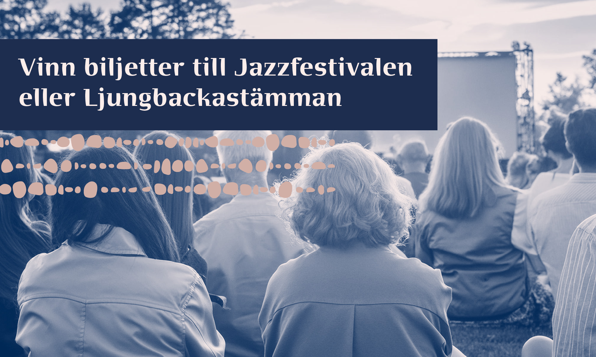 En grupp människor sitter ute och lyssnar på en konsert