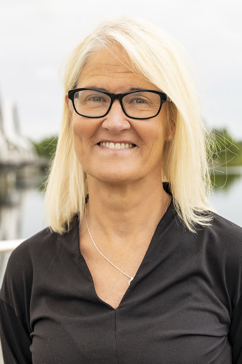 Ingela Robertsson, Styrelseledamot